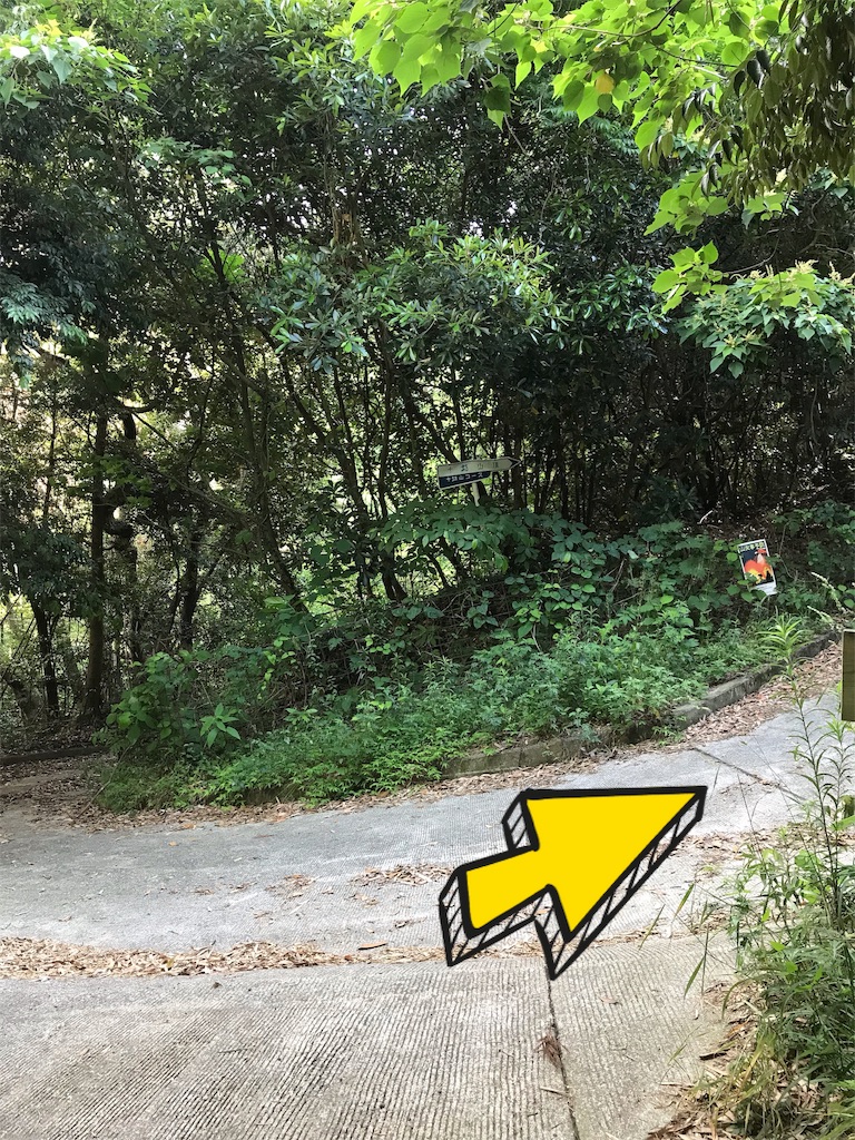 f:id:imototarow:20190615145022j:image