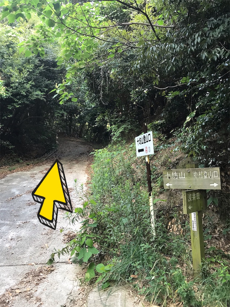 f:id:imototarow:20190615145049j:image