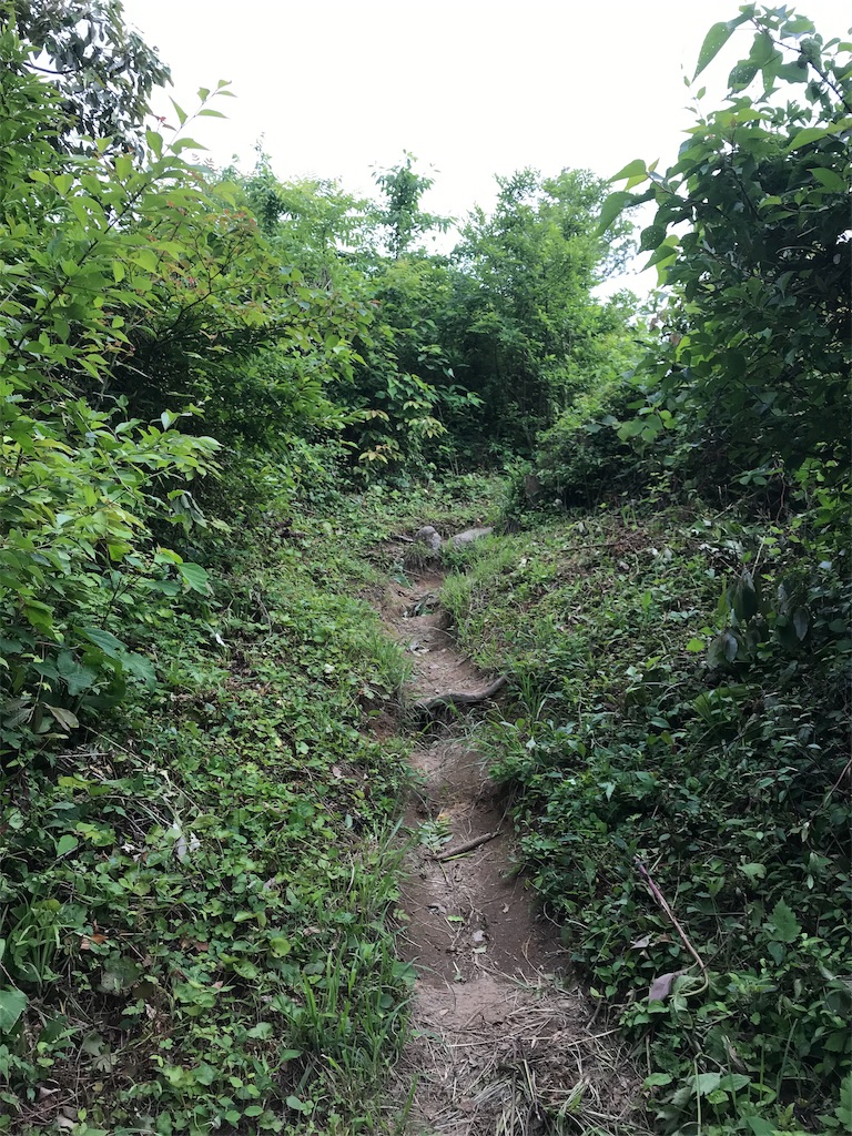 f:id:imototarow:20190615151438j:image