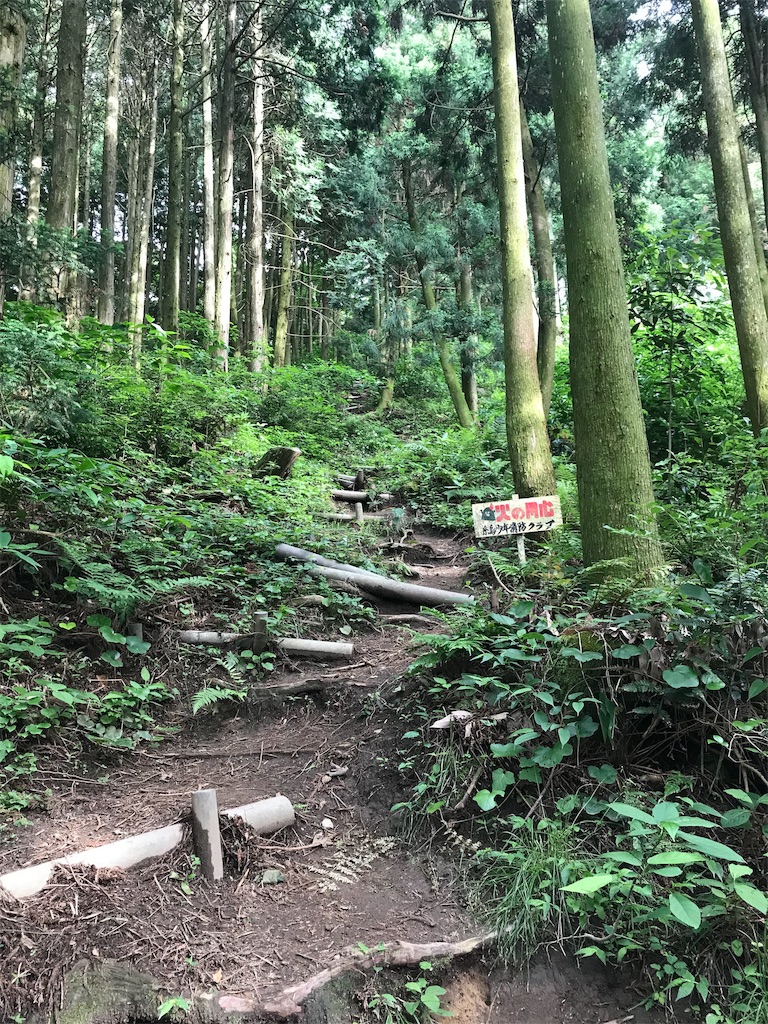 f:id:imototarow:20190615151459j:image