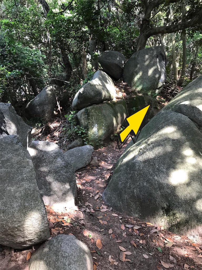f:id:imototarow:20190615163804j:image