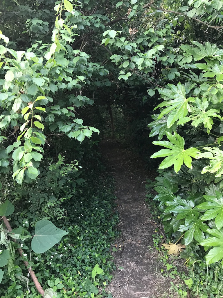 f:id:imototarow:20190615170301j:image
