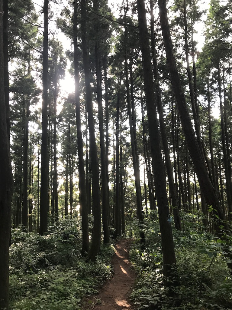 f:id:imototarow:20190615171831j:image