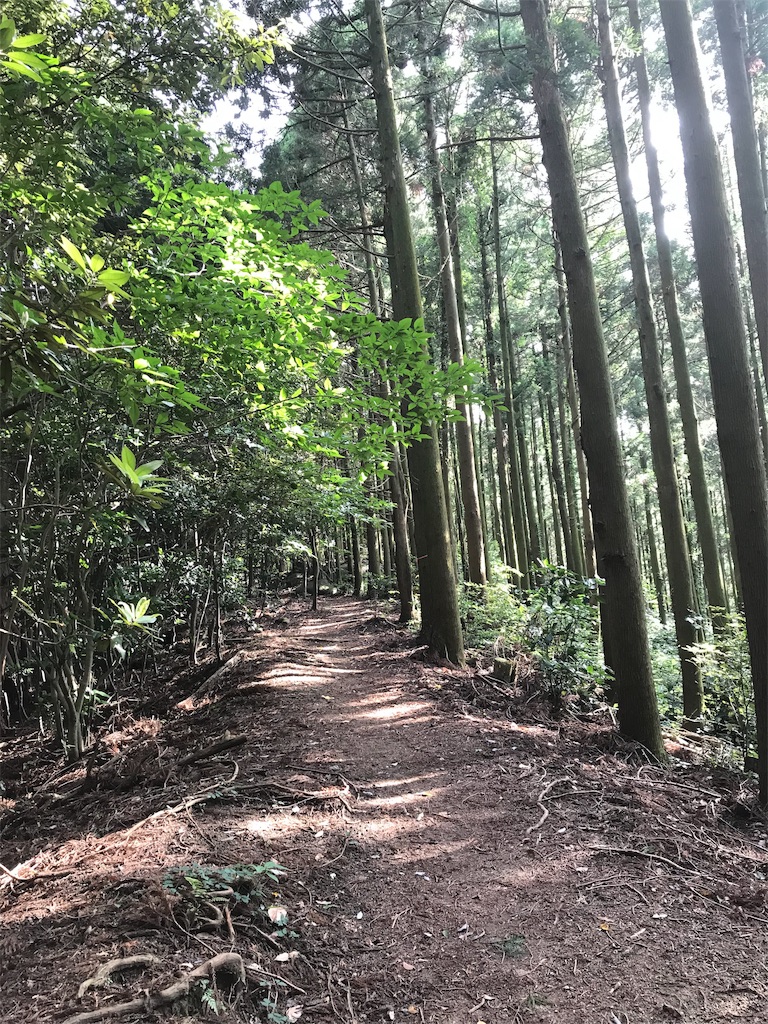 f:id:imototarow:20190615171852j:image