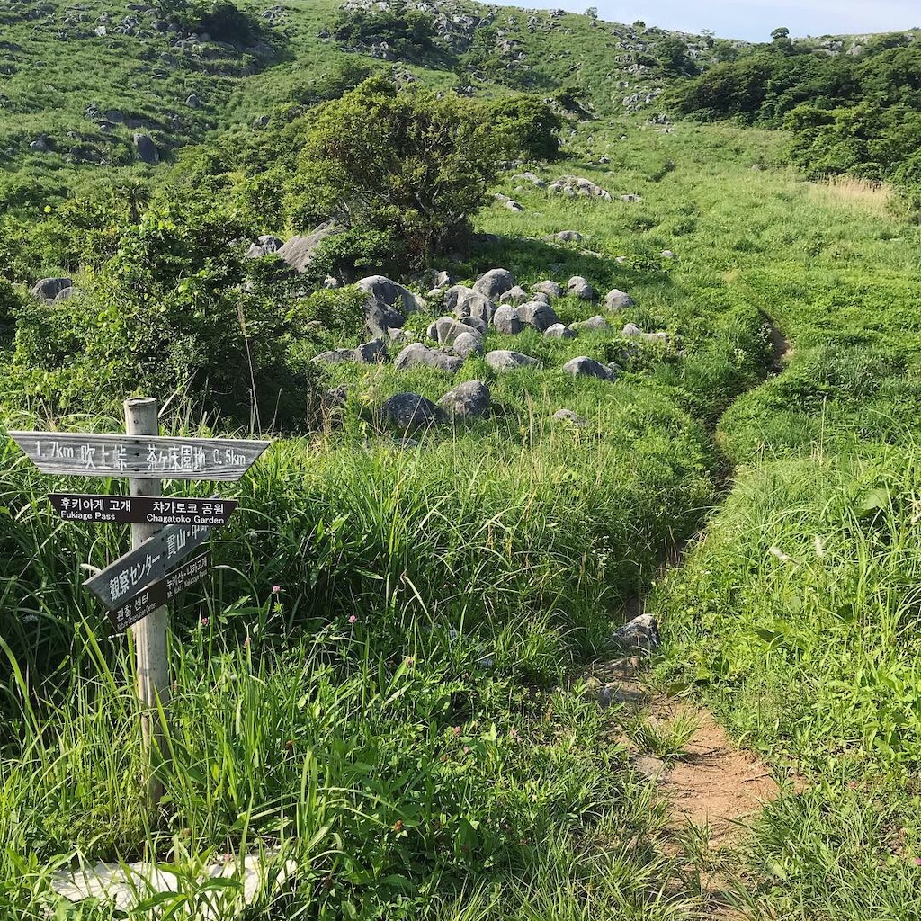 f:id:imototarow:20190628032703j:image
