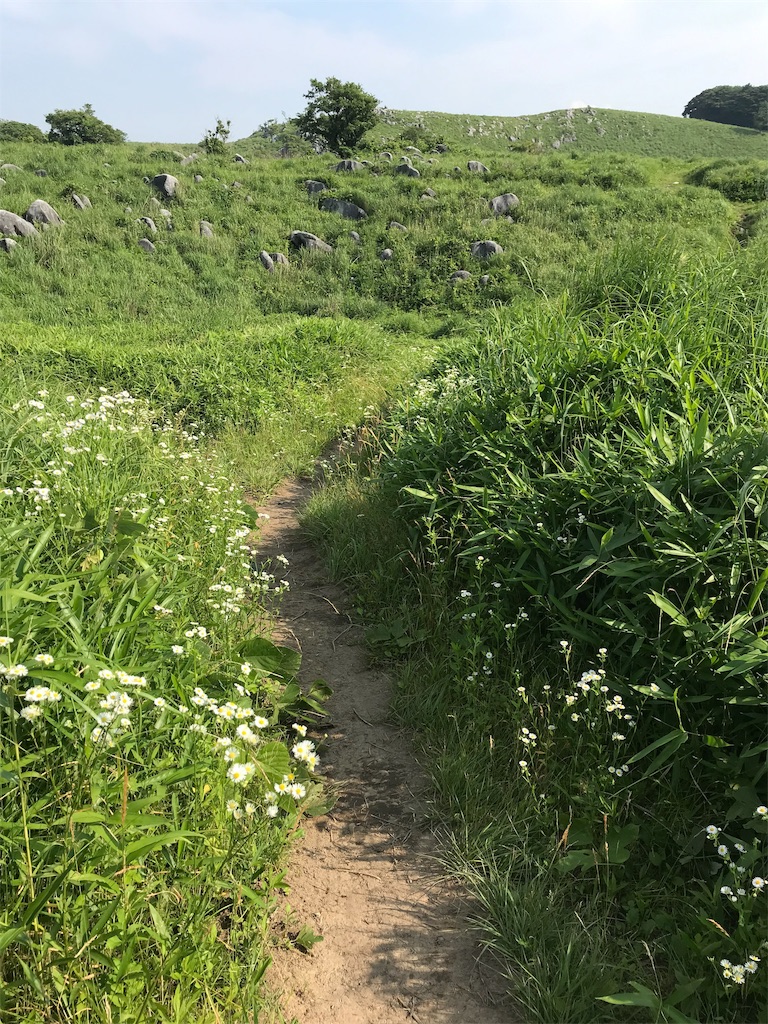 f:id:imototarow:20190628032808j:image