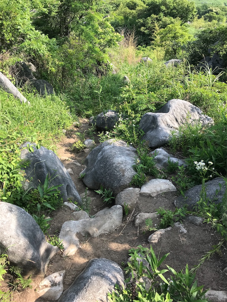 f:id:imototarow:20190628032855j:image