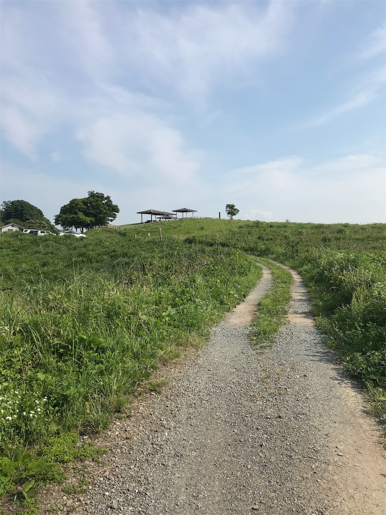 f:id:imototarow:20190628033008j:image