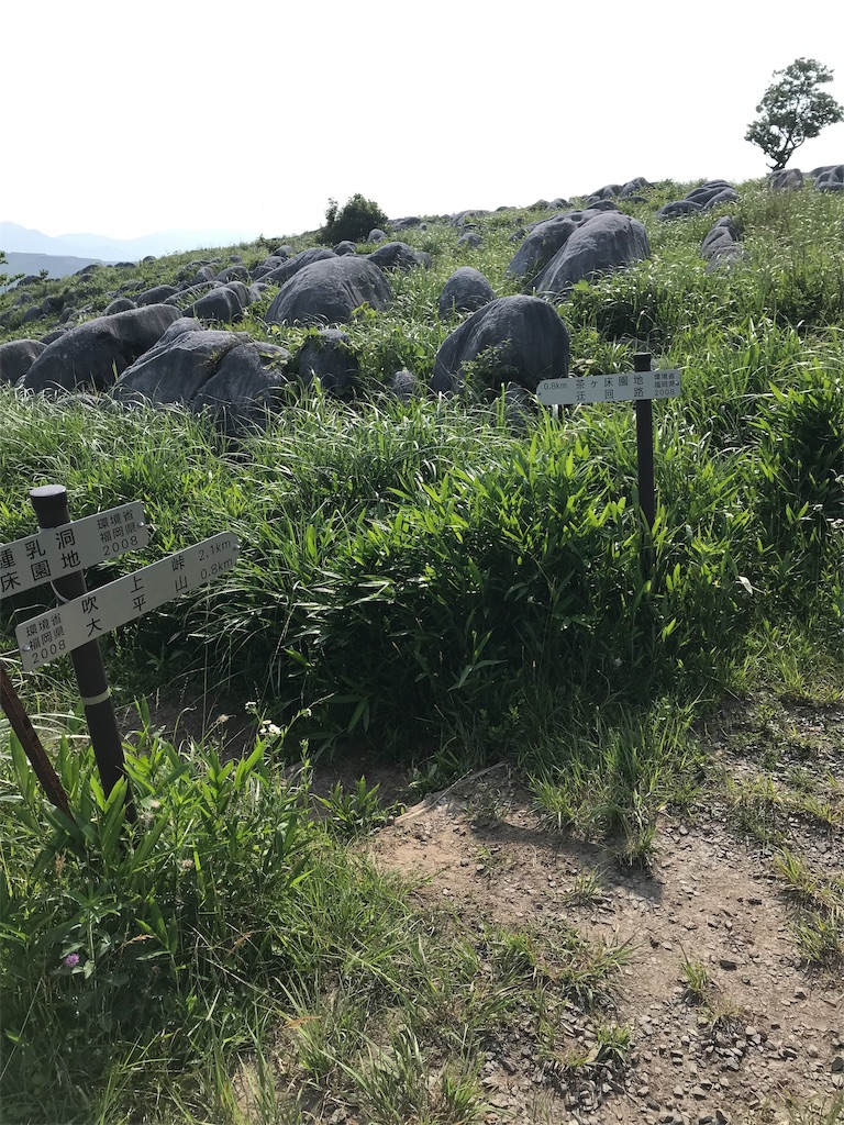f:id:imototarow:20190628033045j:image
