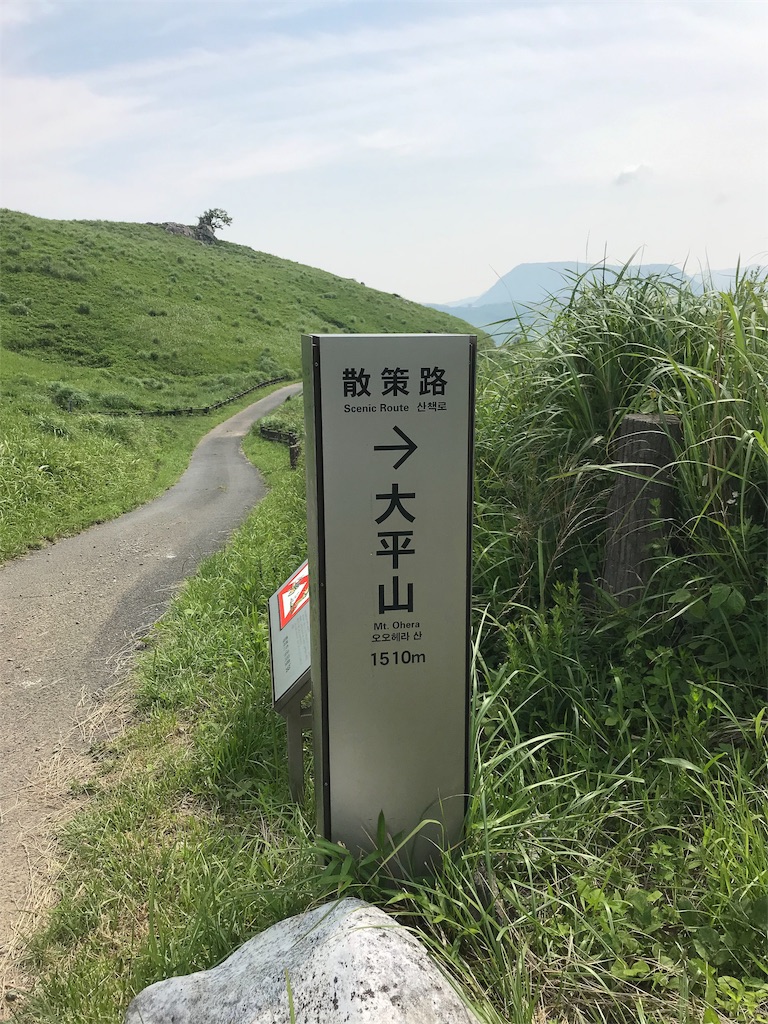 f:id:imototarow:20190628140010j:image