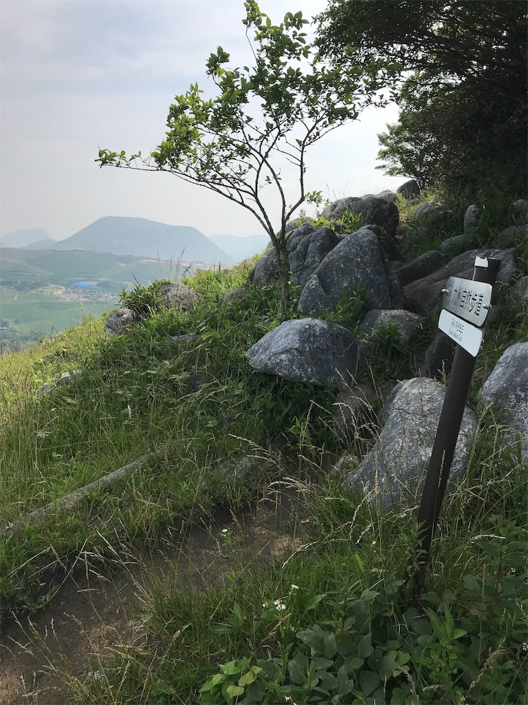f:id:imototarow:20190628140031j:image