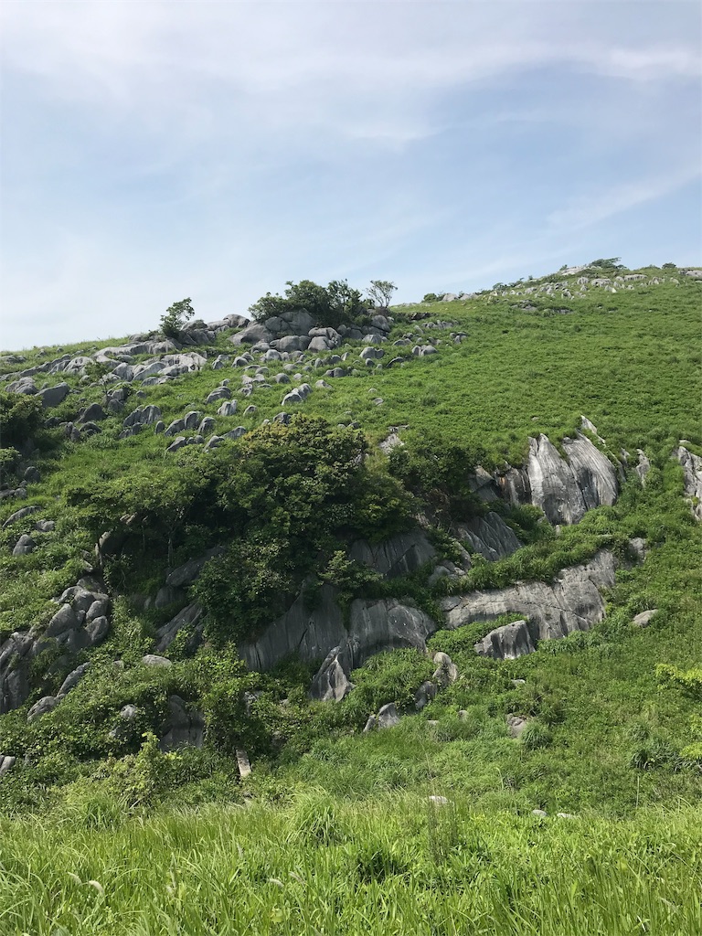 f:id:imototarow:20190628151130j:image