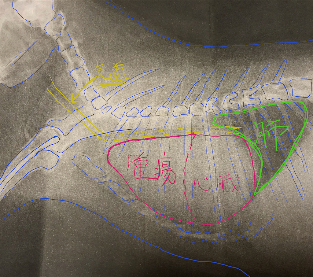 f:id:imsdJava:20181210181914p:image f:id:imsdJava:20181210181914p:image