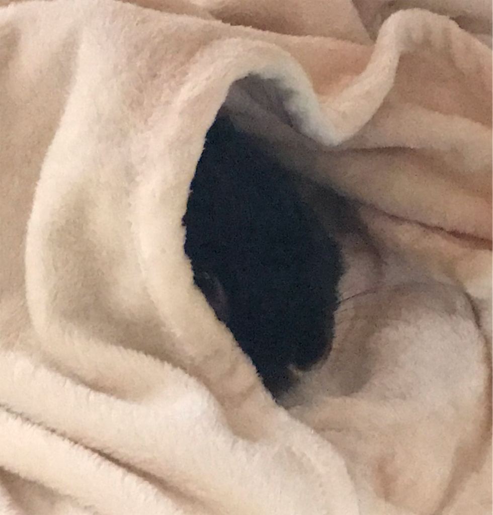 f:id:imsdJava:20181213142027p:image