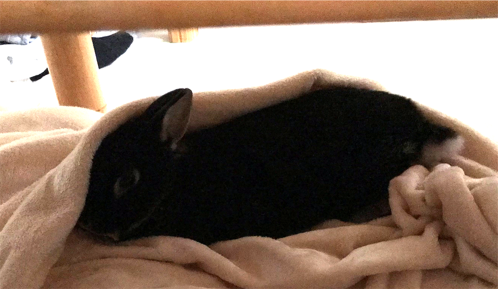 f:id:imsdJava:20181213150447p:image