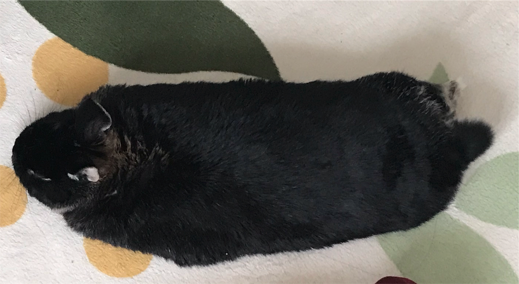 f:id:imsdJava:20181219112411p:image