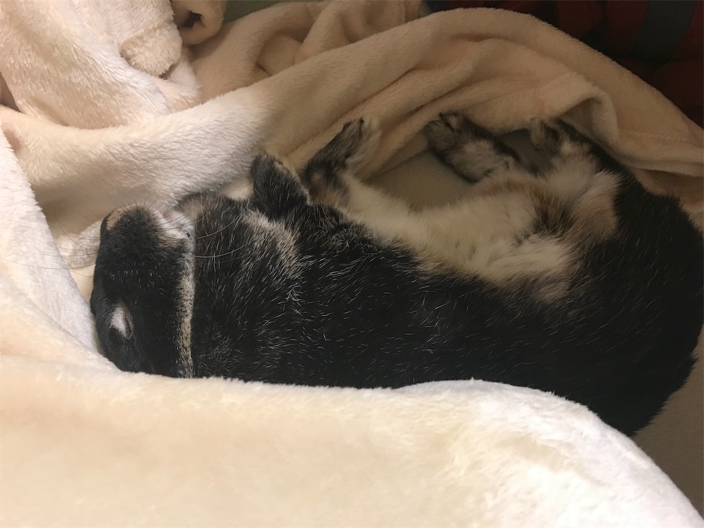 f:id:imsdJava:20181221123208j:image f:id:imsdJava:20181221123208j:image