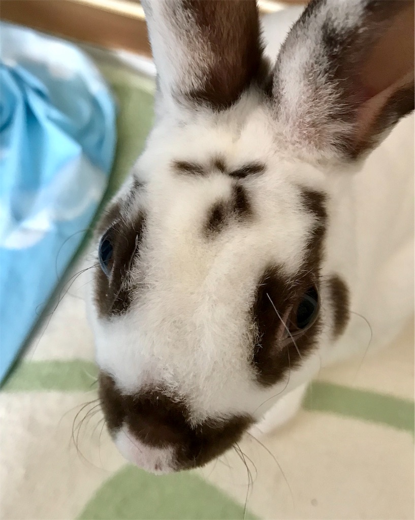 f:id:imsdJava:20190621090840j:image