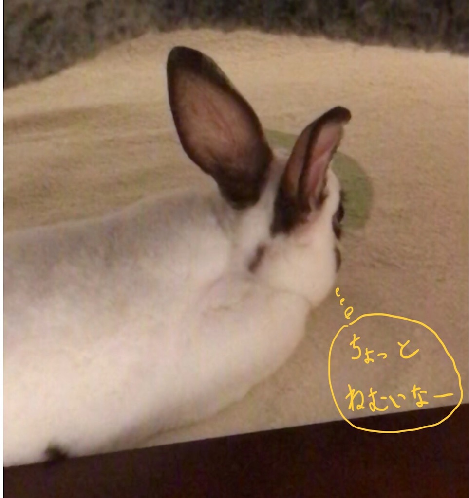 f:id:imsdJava:20190626171444j:image