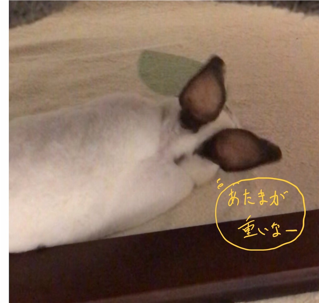 f:id:imsdJava:20190626171455j:image