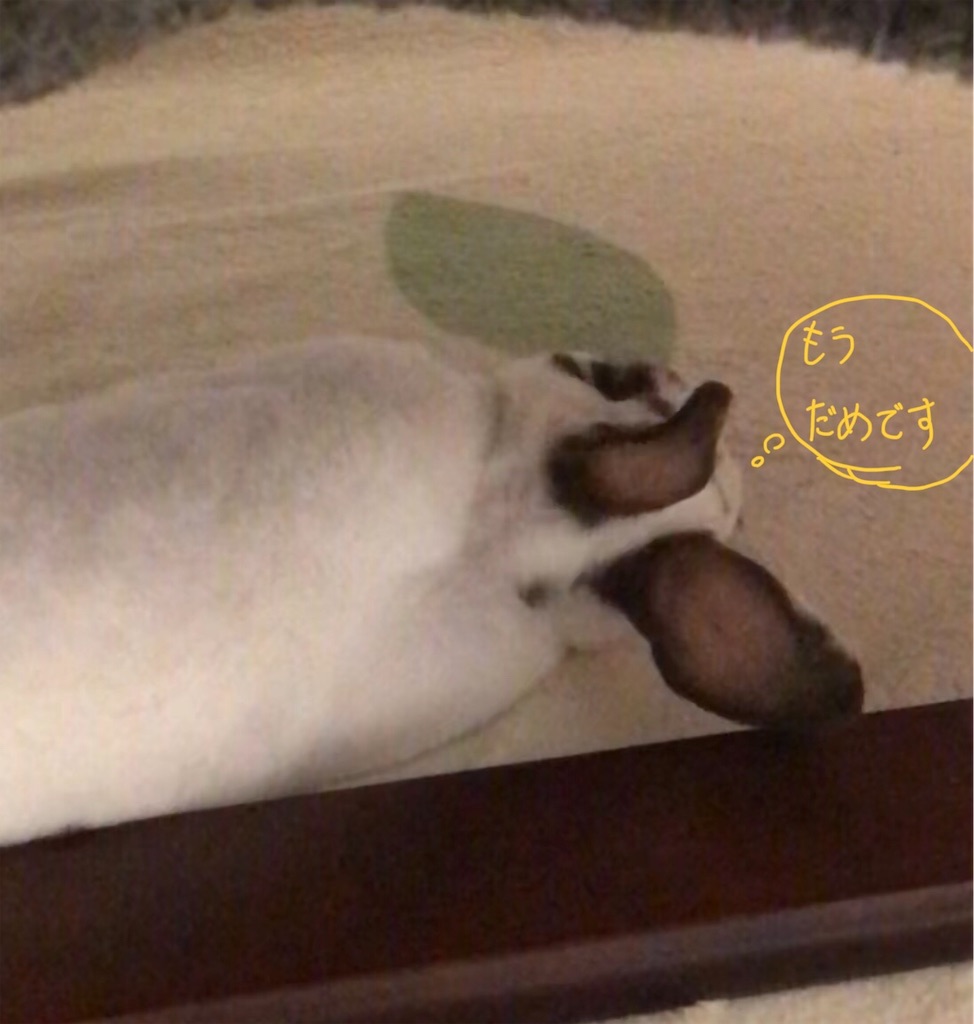 f:id:imsdJava:20190626171504j:image