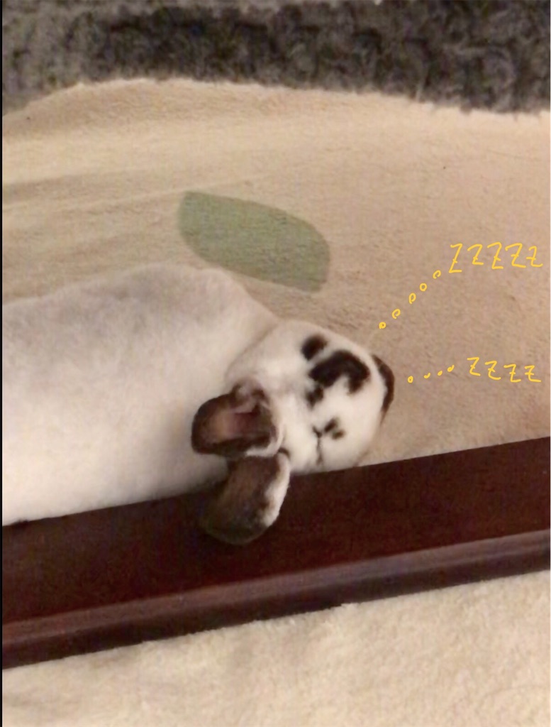 f:id:imsdJava:20190630141836j:image