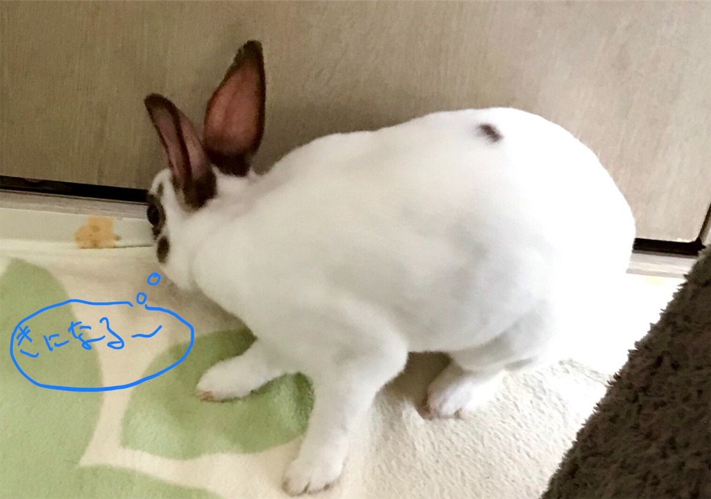 f:id:imsdJava:20190701080920j:image