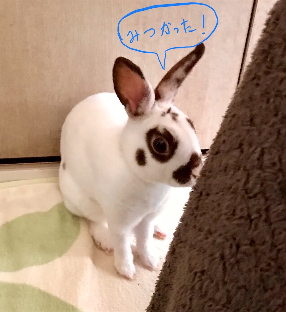 f:id:imsdJava:20190701080953j:image