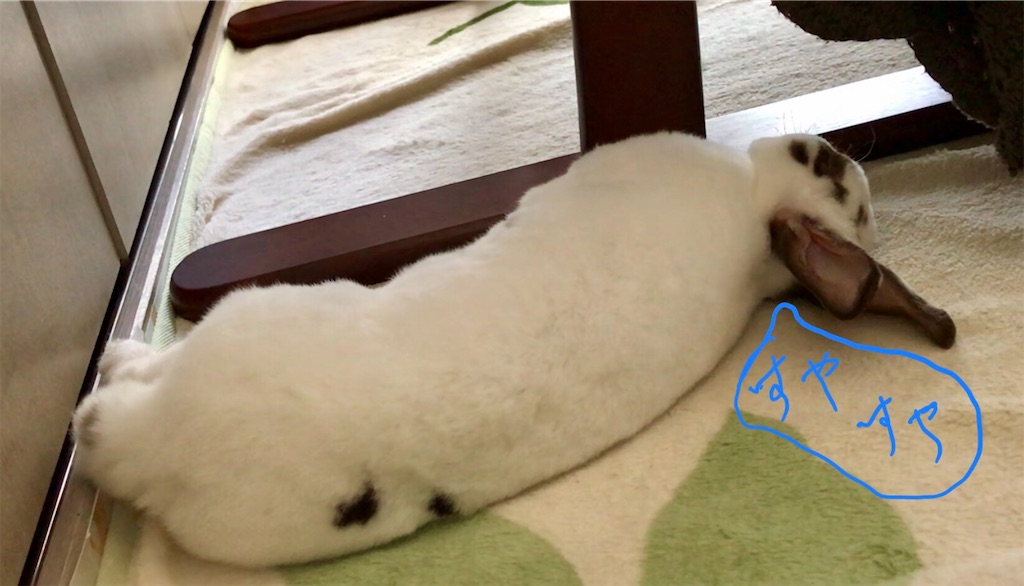 f:id:imsdJava:20190702173446j:image