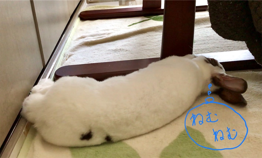 f:id:imsdJava:20190702173506j:image