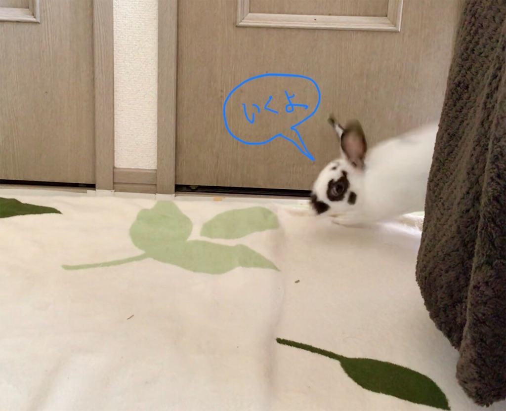 f:id:imsdJava:20190703112520j:image