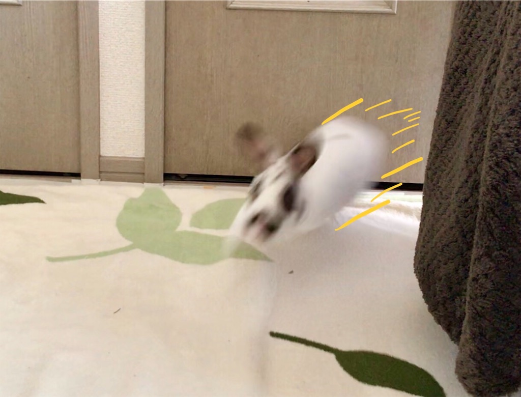 f:id:imsdJava:20190703112551j:image