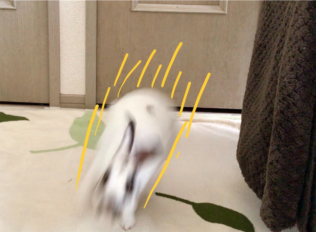 f:id:imsdJava:20190703112609j:image