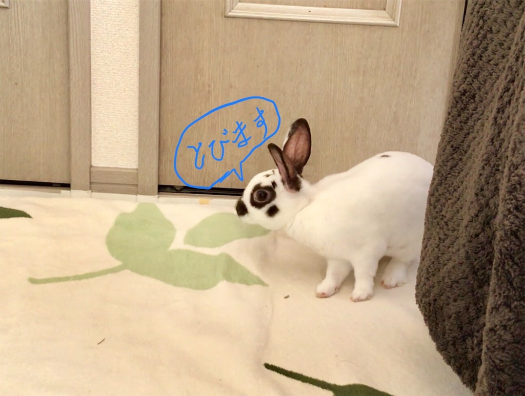 f:id:imsdJava:20190703112636j:image