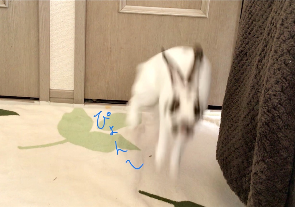 f:id:imsdJava:20190703112654j:image