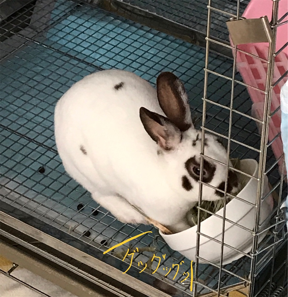 f:id:imsdJava:20190704184637j:image