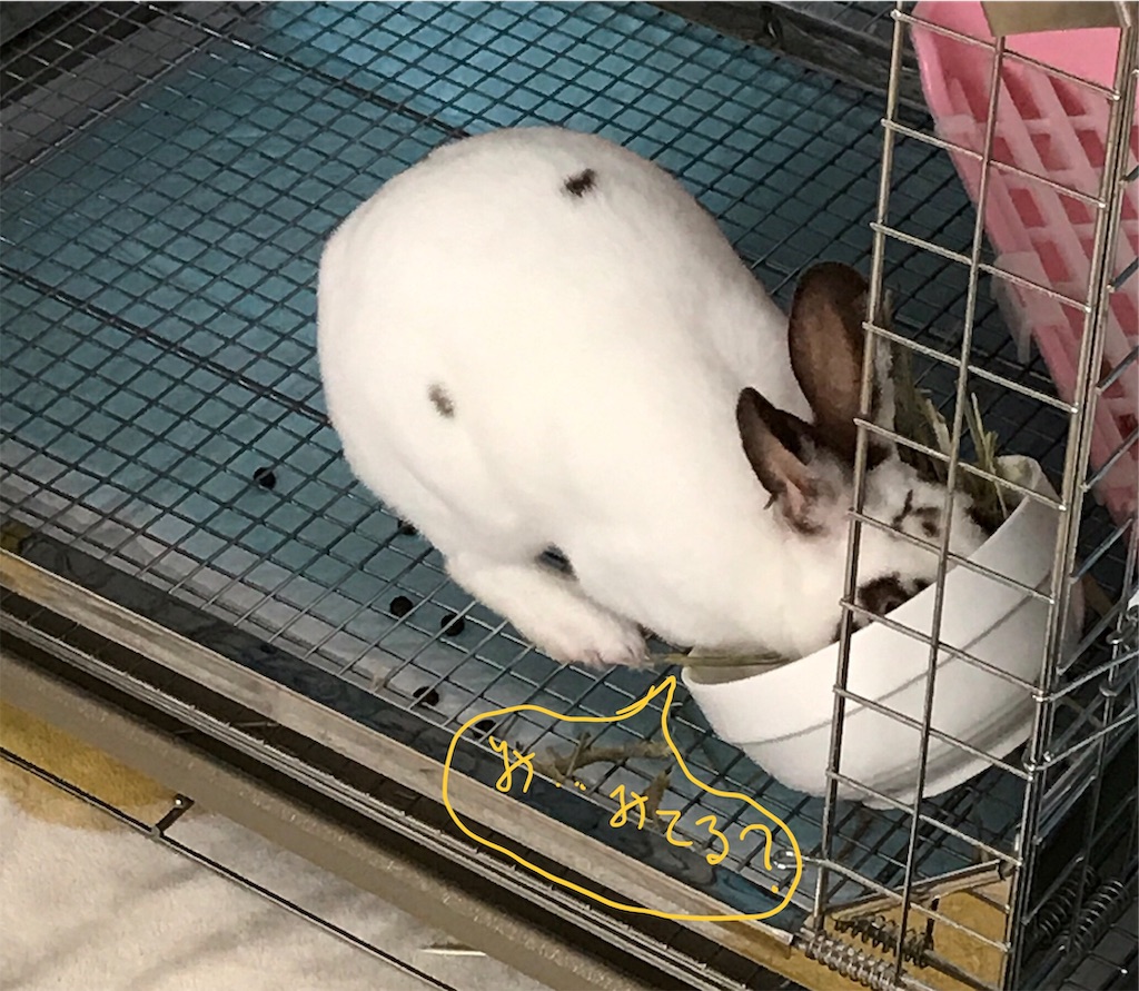 f:id:imsdJava:20190704184800j:image