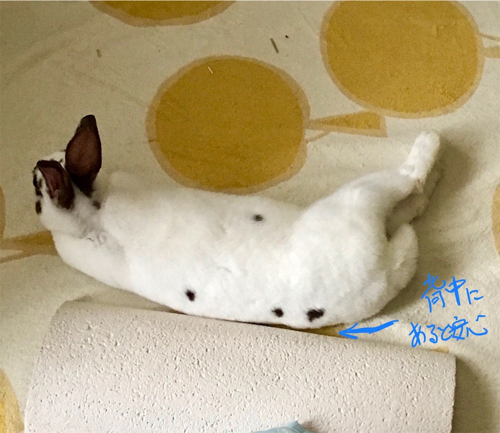 f:id:imsdJava:20190705105015j:image