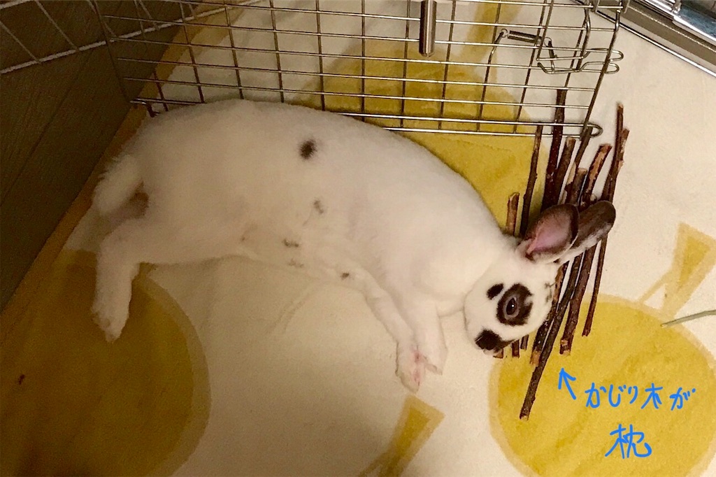 f:id:imsdJava:20190705105159j:image