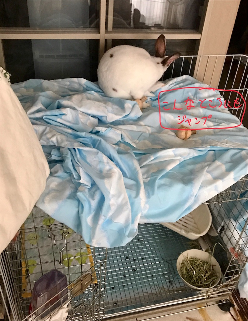 f:id:imsdJava:20190708174137j:image