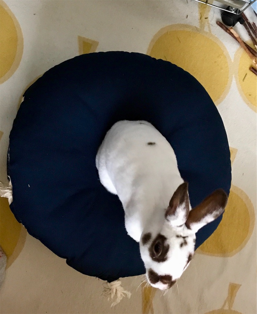 f:id:imsdJava:20190709155908j:image