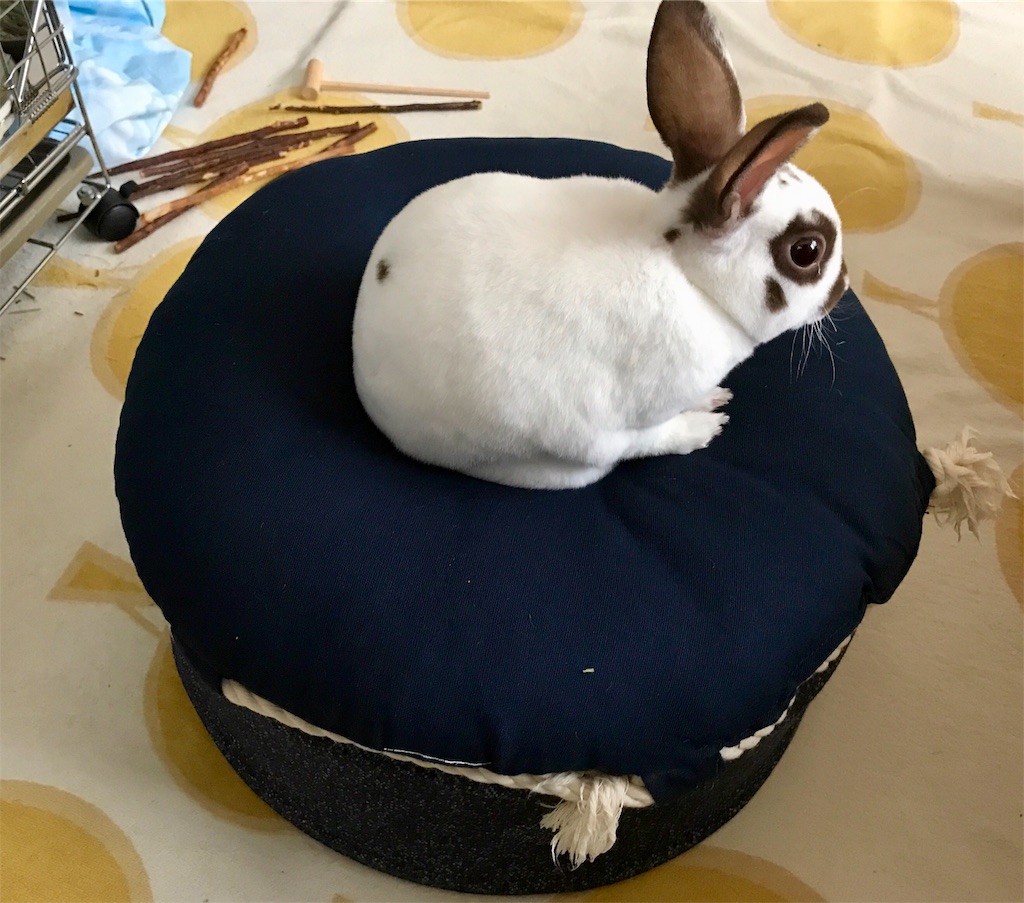 f:id:imsdJava:20190709155950j:image