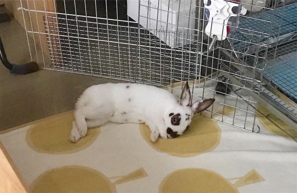 f:id:imsdJava:20190711180742j:image