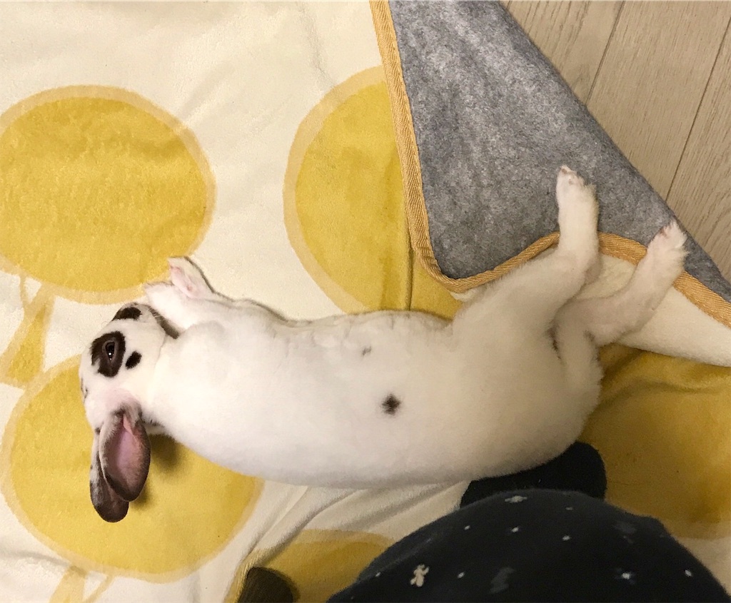 f:id:imsdJava:20190716185635j:image