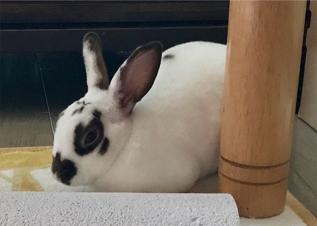 f:id:imsdJava:20190722144922j:image f:id:imsdJava:20190722144922j:image