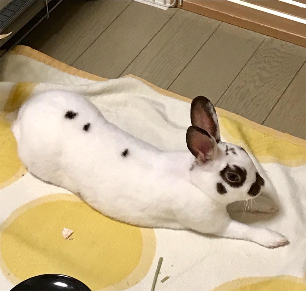 f:id:imsdJava:20190725201235j:image