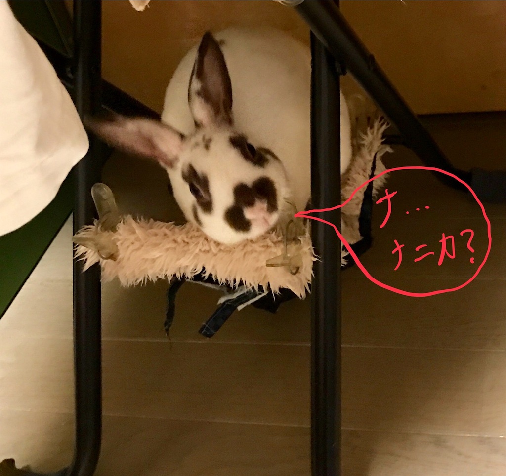 f:id:imsdJava:20190805195019j:image