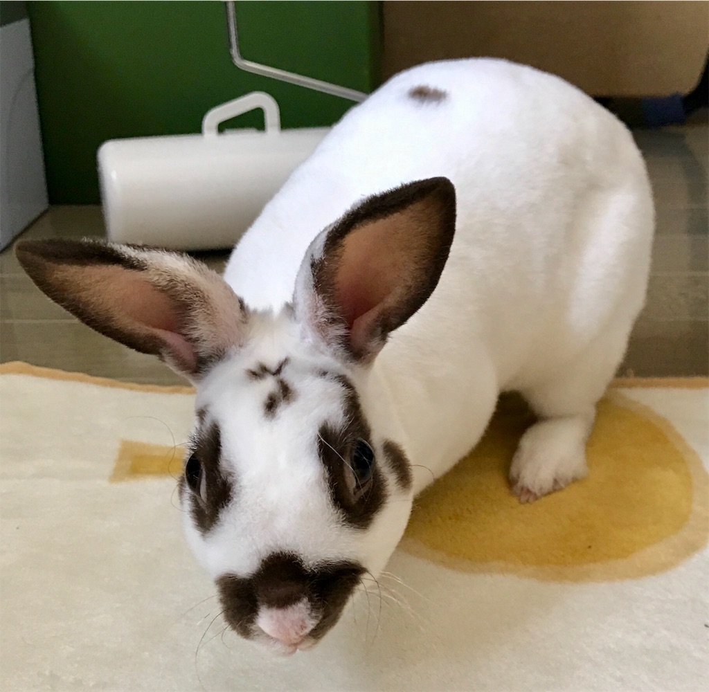 f:id:imsdJava:20190807083501j:image