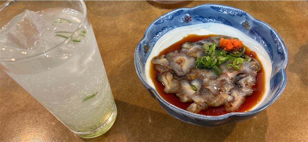 f:id:imtabi:20240608021152p:image