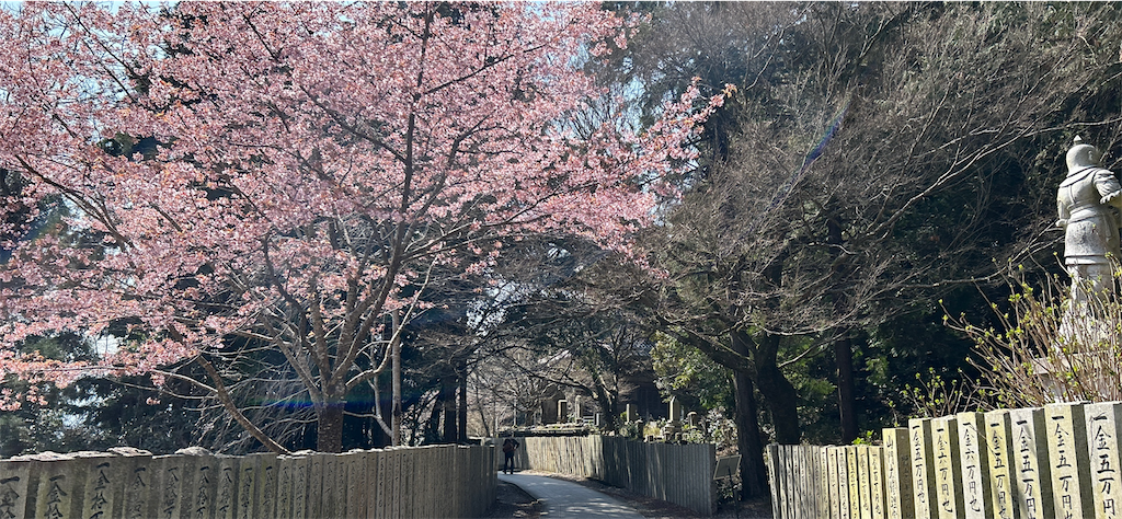 f:id:imtabi:20240608021924p:image